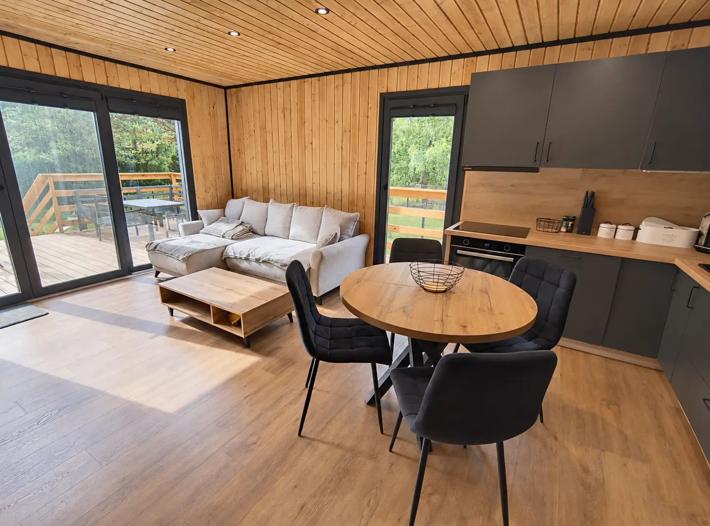Otwarty salon z kuchnią i wyjściem na taras w domu RSI Homes